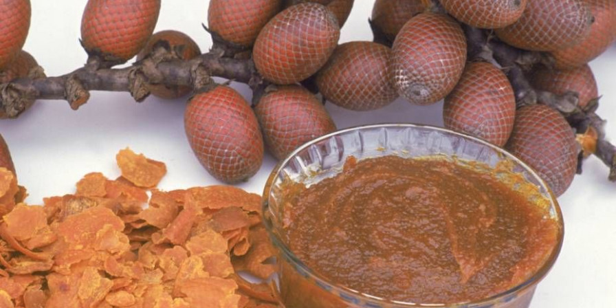 Saiba passo a passo como fazer doce de buriti - Imirante.com