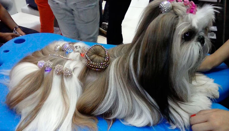 Em breve, o produto será disponibilzado em Imperatriz.