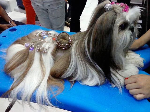 (Foto: Reprodução/ Facebook)