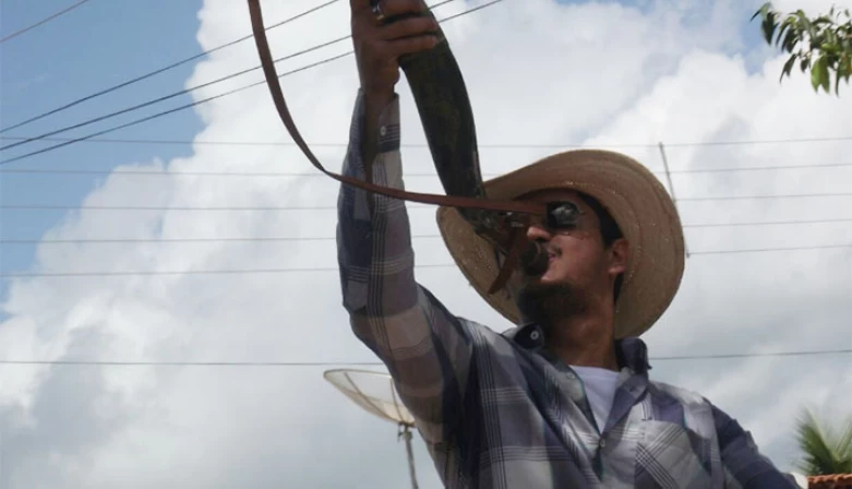 Vaqueiro toca o berrante reproduzindo na cavalgada, uma atitude comum no seu cotidiano de trabalho.