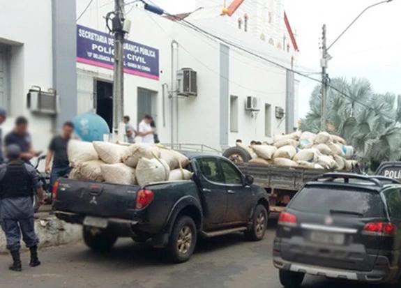 Droga apreendida na aldeia. / Foto: Divulgação/SSP-MA