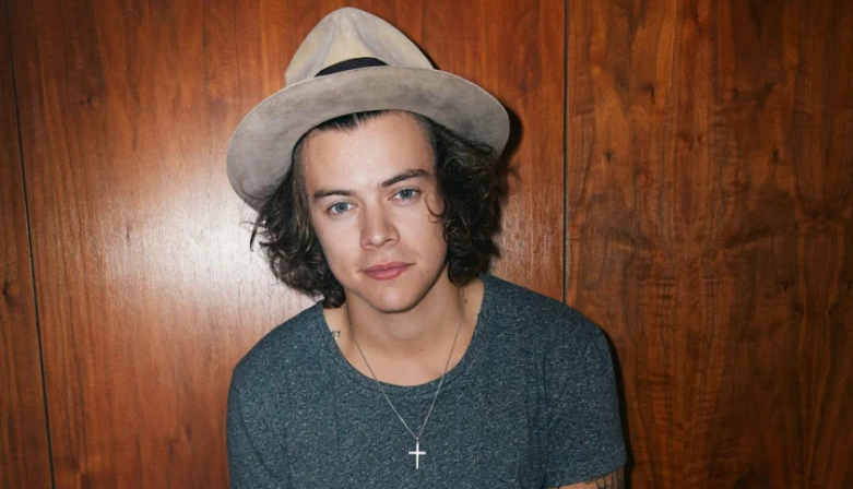 Além da música, Harry está investindo na carreira de ator e participará do filme Durkirk, que será lançado em julho de 2017.