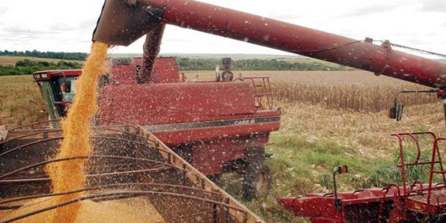 A Conab monitora as safras agrícolas há 40 anos.