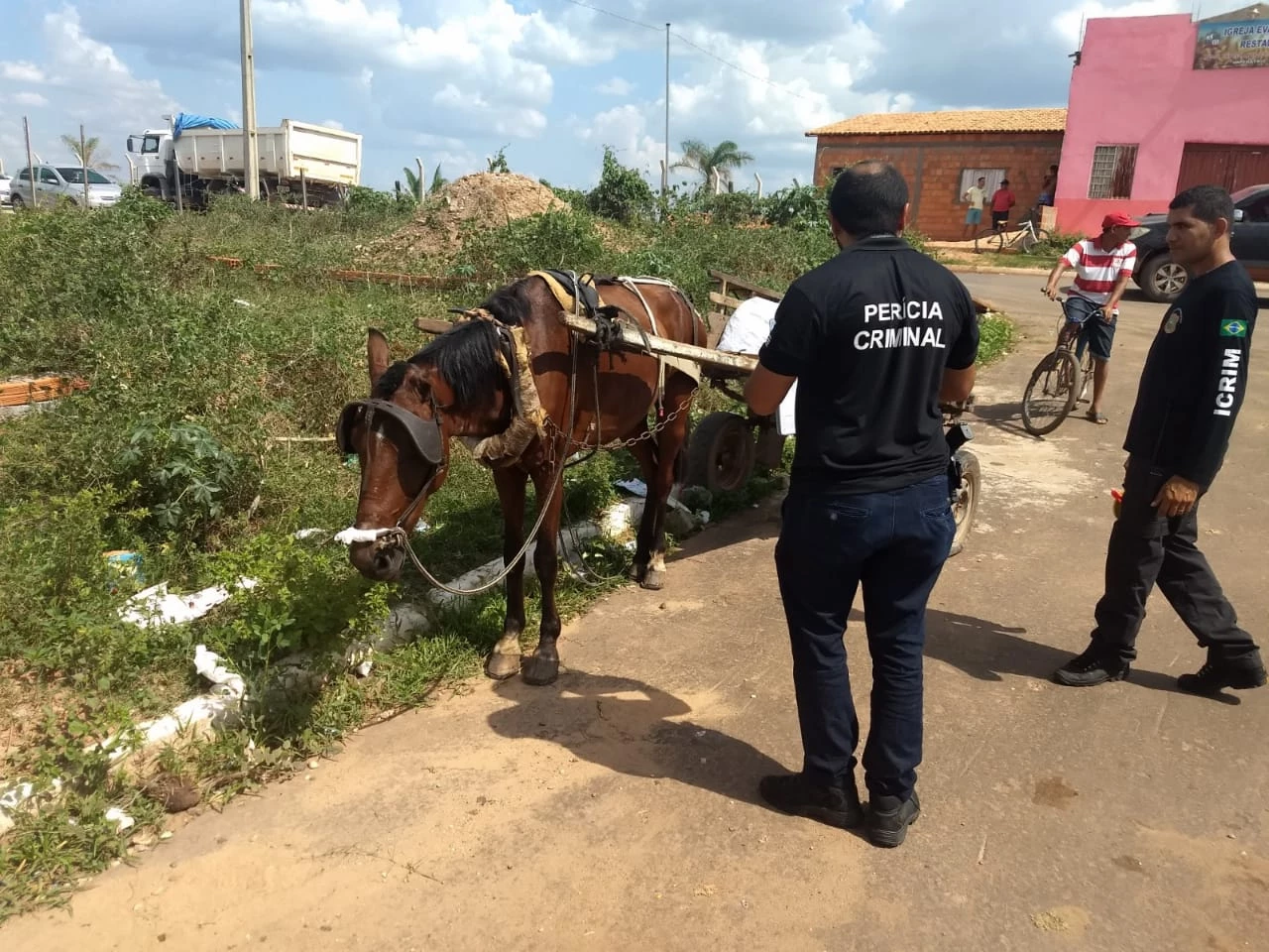 O carroceiro envolvido no acidente ainda não foi identificado. / O carroceiro envolvido no acidente ainda não foi identificado.