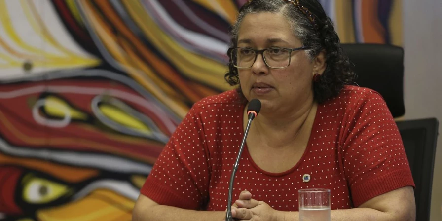 Cientista política Suely Araújo pediu exoneração do Instituto Brasileiro do Meio Ambiente e dos Recursos Naturais Renováveis (Ibama).
