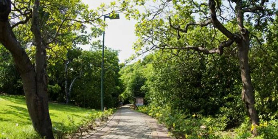 O Parque Botânico Vale fica na Avenida dos Portugueses, no Anjo da Guarda.