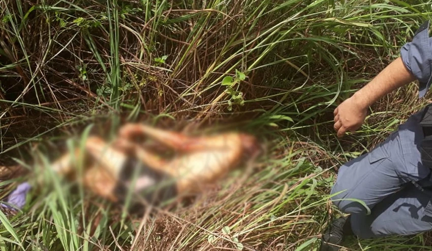 Corpo de Algenir Ferreira, encontrado morto, com várias perfurações de faca. Foto: divulgação.