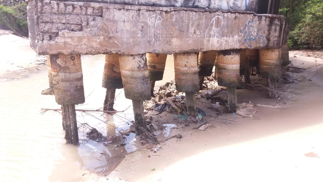 Parte da estrutura da ponte serve hoje como abrigo para os animais. Foto: Carla Barros