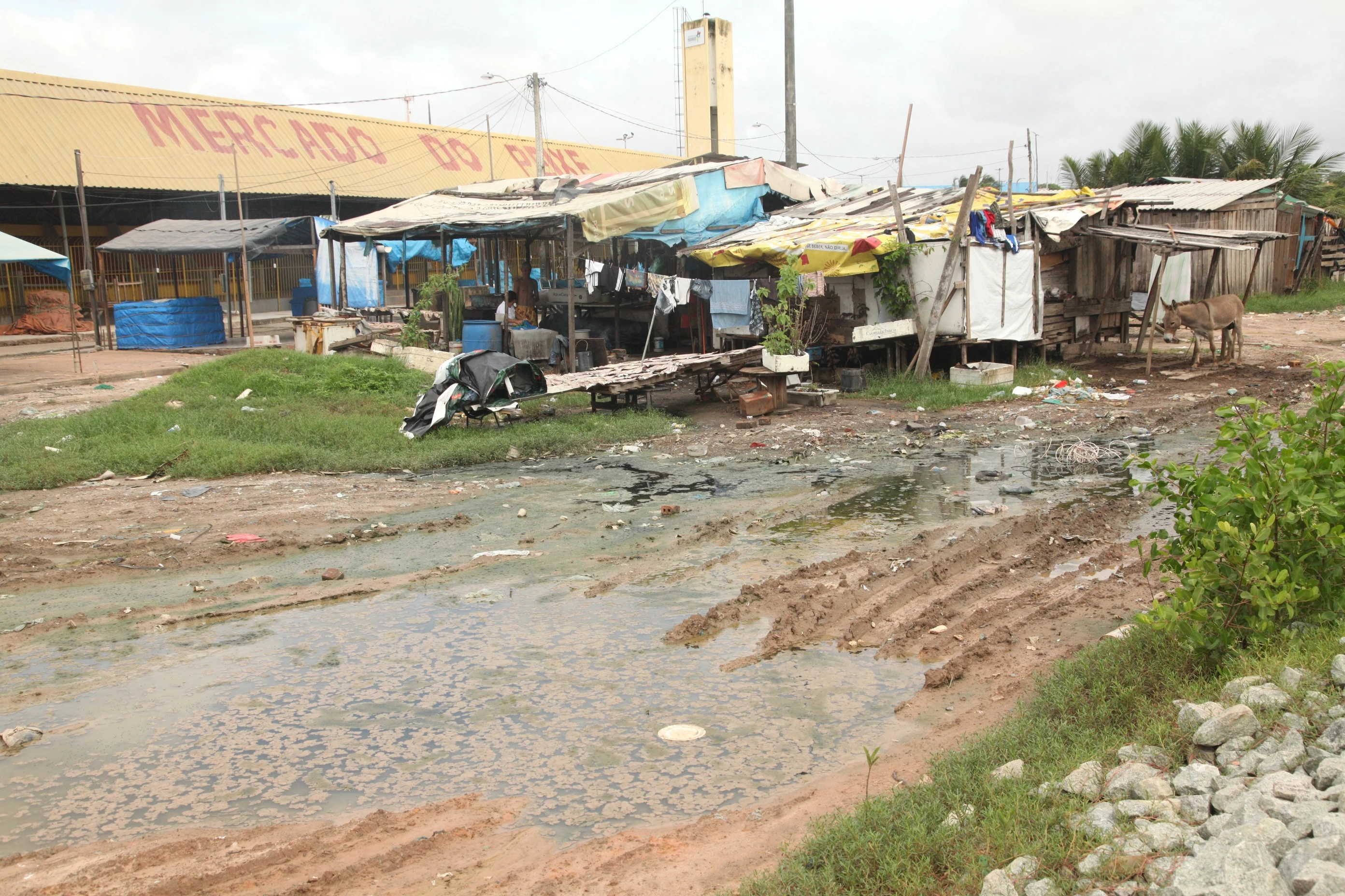 Os inspetores sanitários classificaram como “inaceitáveis” as condições das atividades de desembarque, manuseio e comercialização de peixes e mariscos com risco de ocasionar doenças transmitidas por alimentos contaminados. / Foto: De Jesus/O Estado.