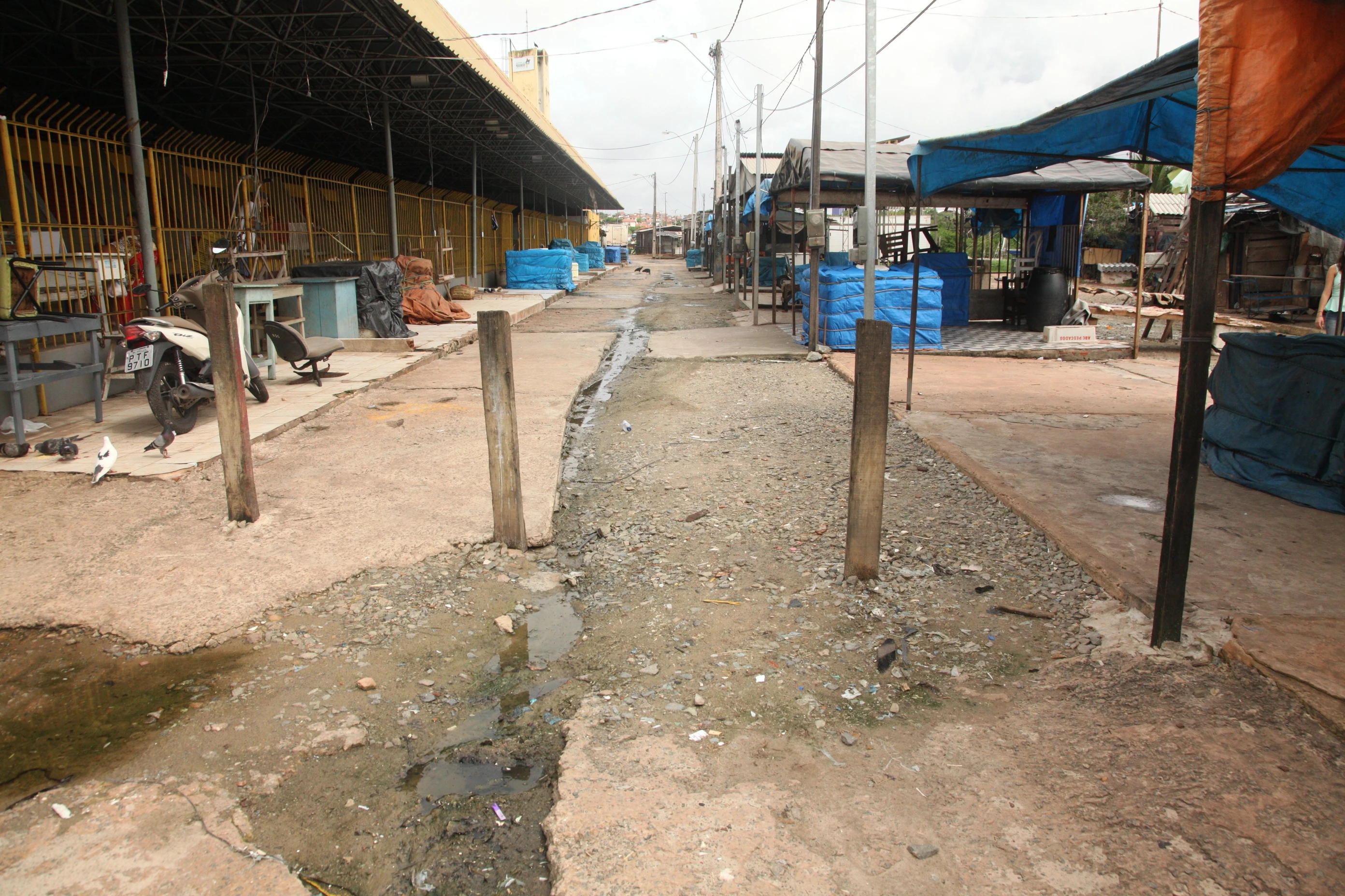 Os inspetores sanitários classificaram como “inaceitáveis” as condições das atividades de desembarque, manuseio e comercialização de peixes e mariscos com risco de ocasionar doenças transmitidas por alimentos contaminados. / Foto: De Jesus/O Estado.