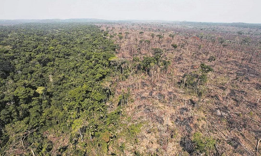 Cobrança ocorre após conferência internacional que reforçou a necessidade de ampliar ações de recuperação ambiental.