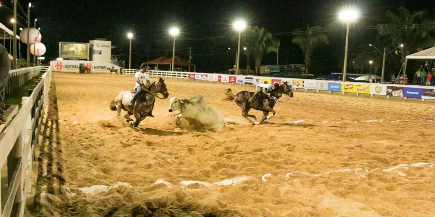 Estima-se que uns públicos de 10 mil pessoas passem pelo Haras durante os quatro dias de evento.