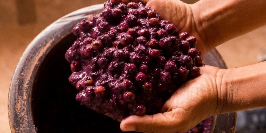 O curso será ministrado pela instrutora chefe do Senac, Naiana Amorim, que ensinará receitas saborosas provenientes da juçara.