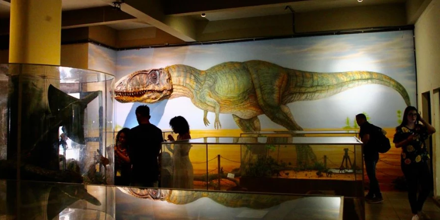O museu oferece visitas guiadas em três áreas: Paleontologia, Arqueologia e Etnologia.