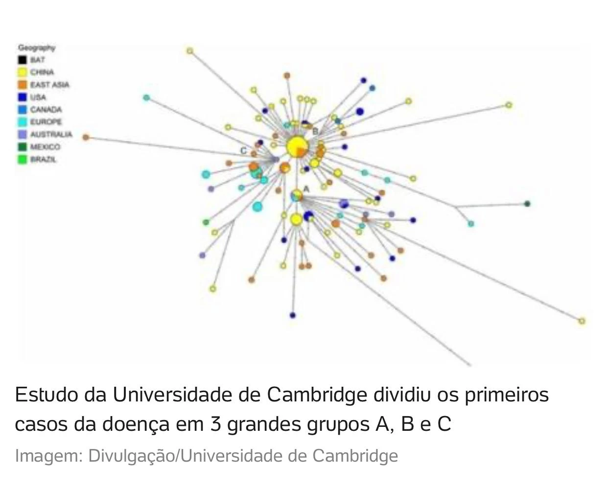 O grupo de cientistas usou um mapeamento de linhagens de códigos genéticos