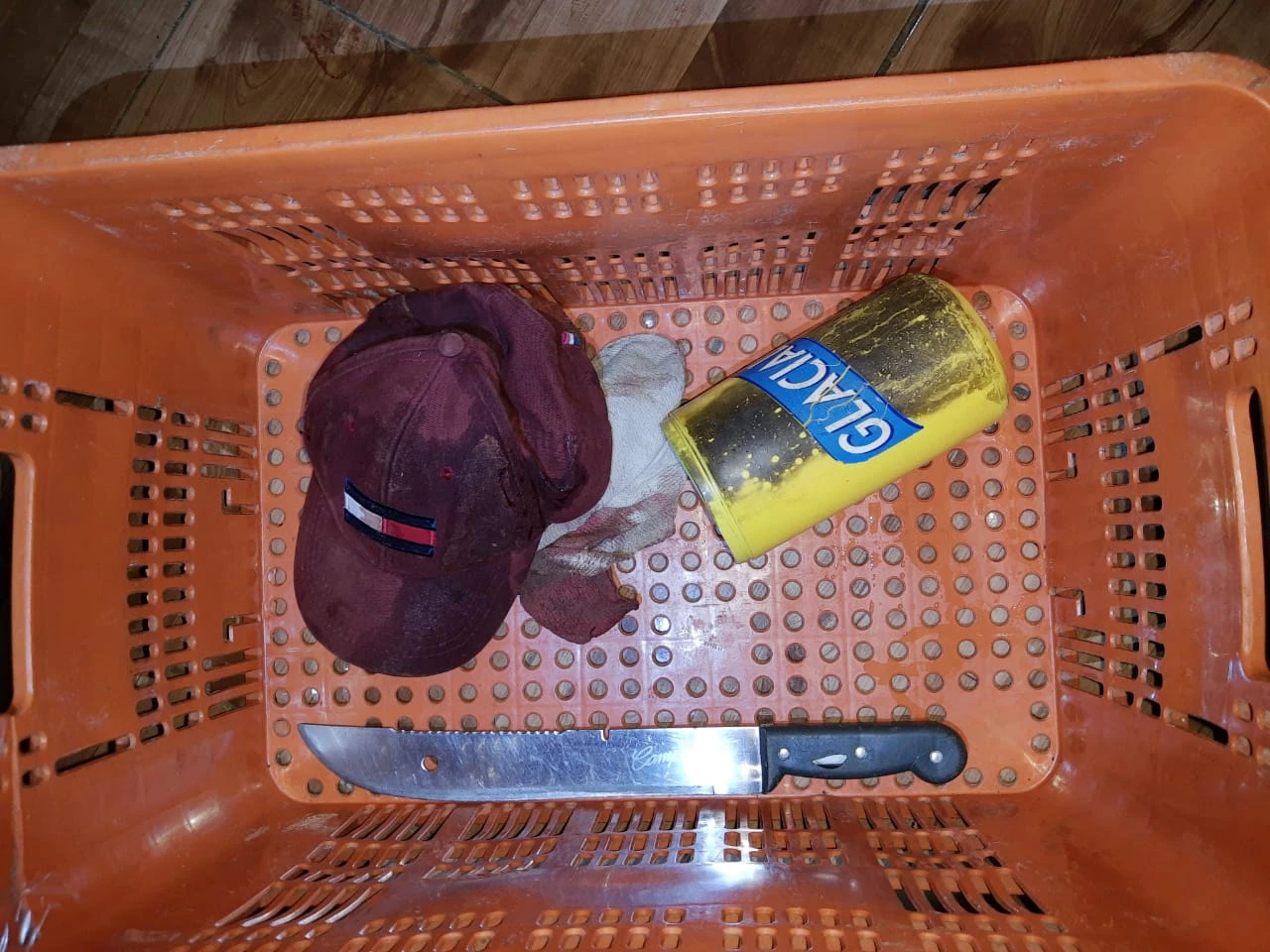 A polícia descartou a hipótese de que Talia Elias teria tirado a própria vida, (Foto: divulgação)