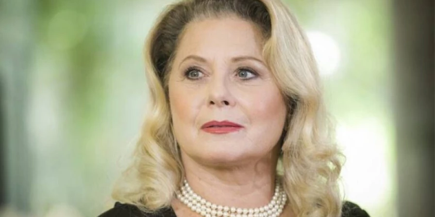 Vera começou sua história na Rede Globo em 1977 fazendo parte do elenco da novela Espelho Mágico.