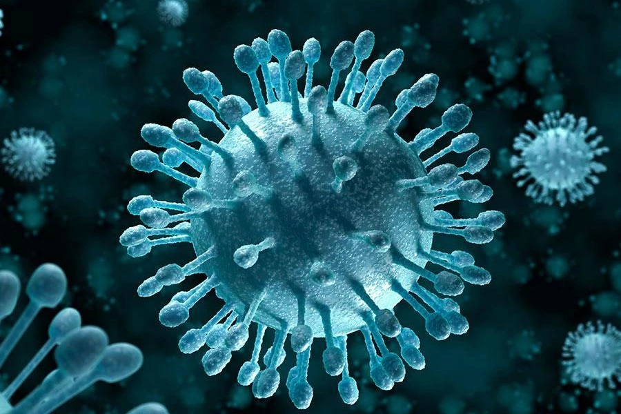 Dados sobre a pandemia do novo coronavírus no Maranhão foram atualizados pela Secretaria de Estado da Saúde. (Foto: Reprodução)