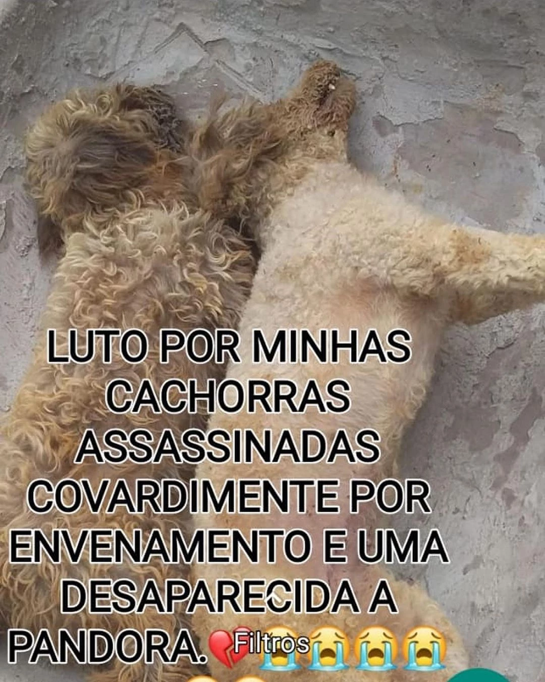 O caso foi registrado na última terça-feira (29). / Foto: Divulgação.