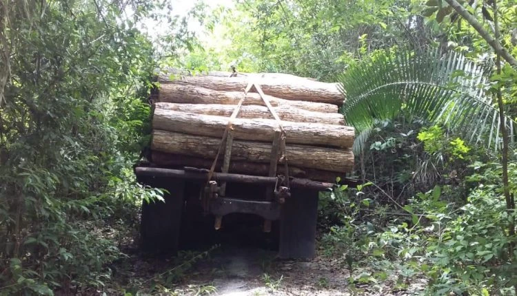 Caminhonete apreendida com material ilegal. Foto: Divulgação / PMMA