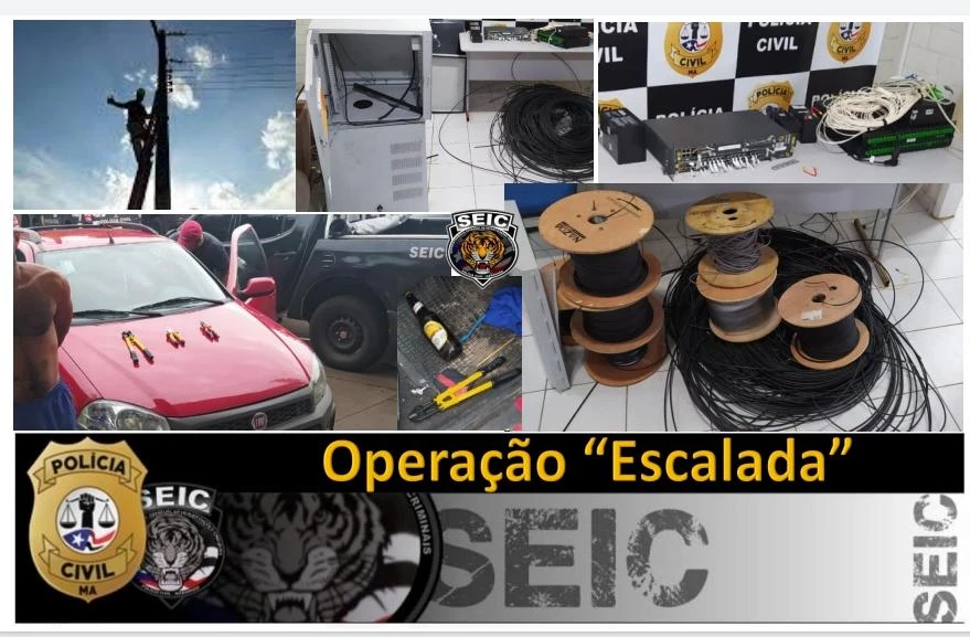 Material apreendido. / Foto: Divulgação.