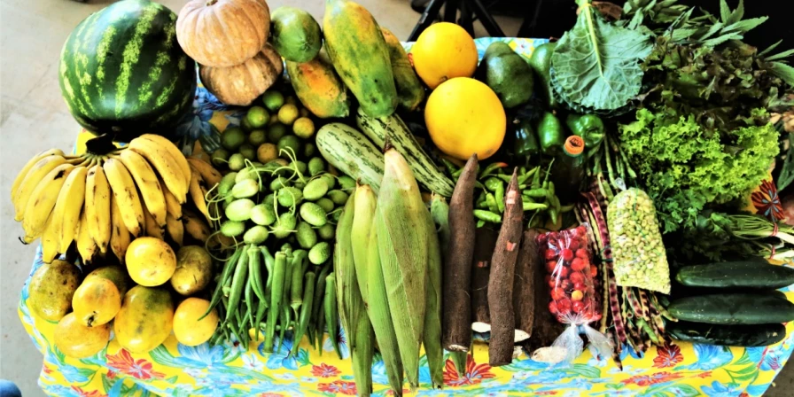 Os alimentos comprados pelo Procaf serão doados às redes socioassistenciais, hospitais, banco de alimentos e creches.