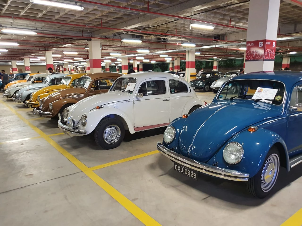 Em São Luís, apaixonados por Fusca se reúnem anualmente. (Foto: Divulgação/Assessoria)