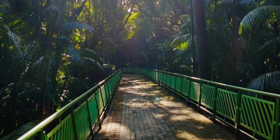 Parque Botânico Vale fica localizado às margens da avenida dos Portugueses, em São Luís.