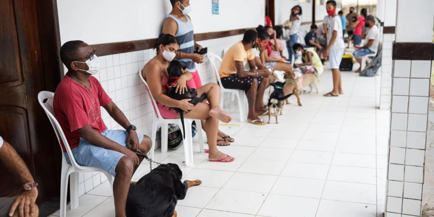 A ação ocorreu no Centro de Ensino Dorilene Silva Castro e promoveu consultas e vacinação de cães e gatos.