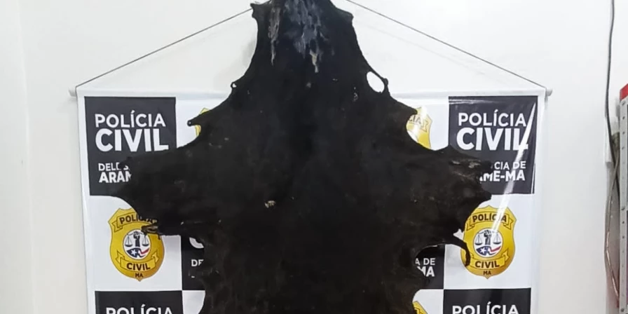 Policiais encontraram o couro da onça abatida com um dos suspeitos.