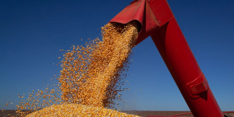 Companhia Nacional de Abastecimento (Conab) divulgou o 1º Levantamento da Safra de Grãos 2023/24.