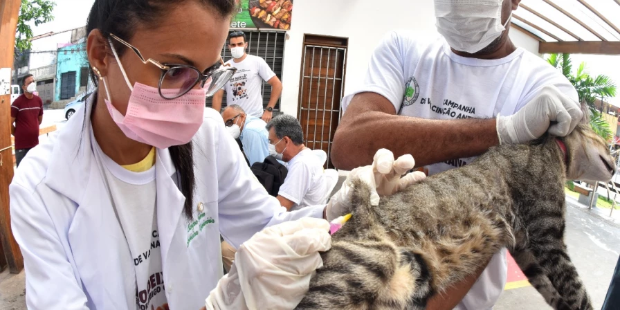 A campanha foi lançada no dia 27 de novembro, iniciando pelos bairros da região central da capital.