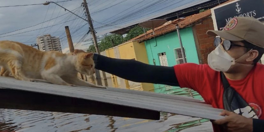 (Foto: Divulgação / CBMMA)