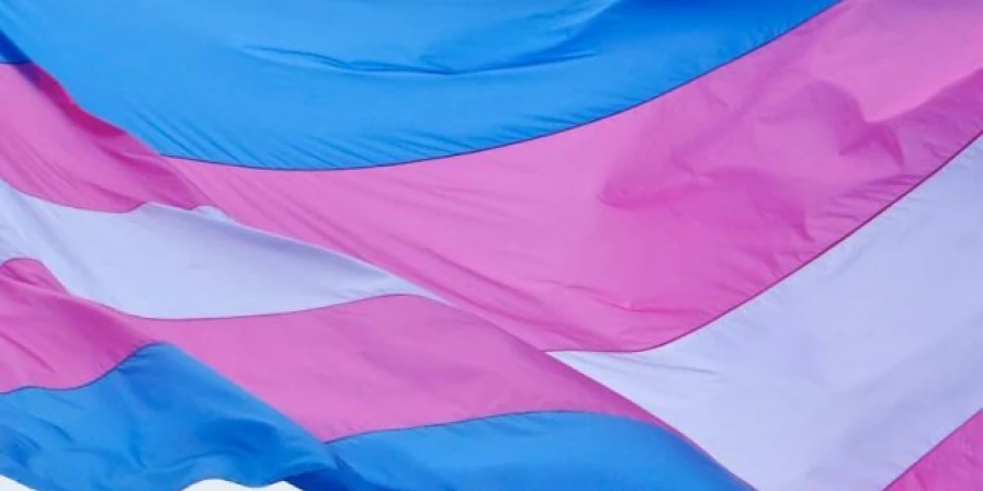 O número foi menor do que o do ano anterior, quando foram registrados 175 assassinatos de pessoas trans.