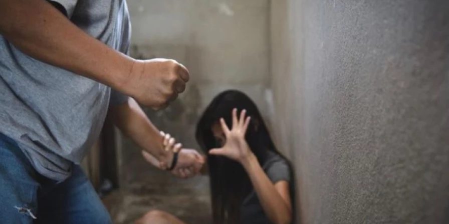 Ciclo de Diálogos sobre a Leia Maria da Penha ocorreu neste fim de semana na capital