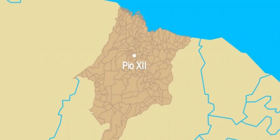 A morte da criança ocorreu na zona rural da cidade de Pio XII.