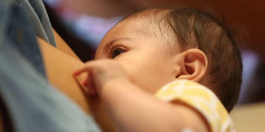 A necessidade de leite por recém-nascido prematuro é de 240 m/dia.