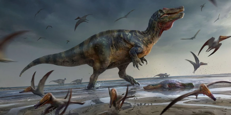 Paleontologistas britânicos afirmaram na quinta-feira (9) que acharam partes do esqueleto de um espinossauro, que viveu há cerca de 125 milhões de anos, durante o período Cretáceo.