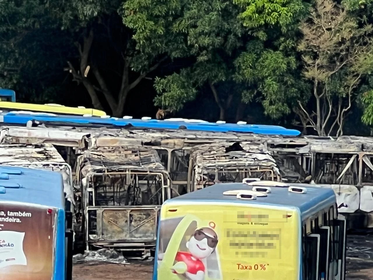 Garagem da Ratrans após o incêndio. Foto: Reprodução/TV Mirante.