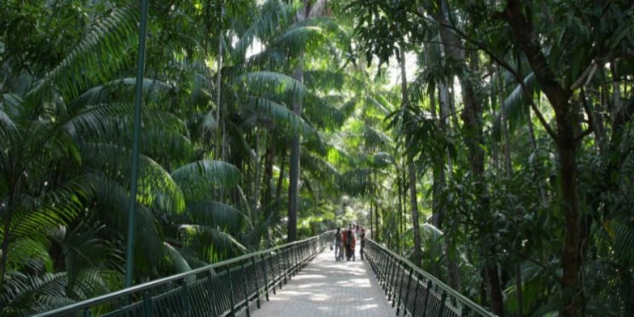 Parque Botânico Vale oferece programação especial de fim de férias