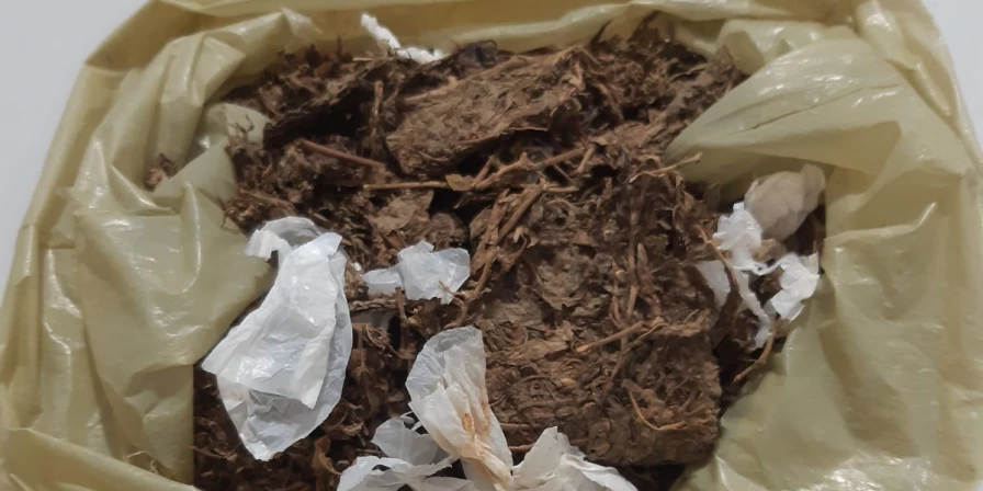 A sacola de maconha estava enterrada no quintal da residência do detido, em Presidente Vargas.