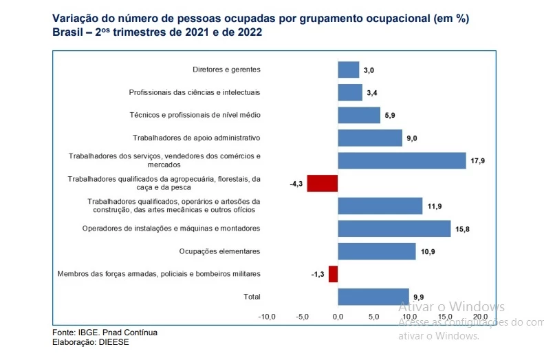 Pessoas ocupadas por grupamento profissional (Foto/Divulgação)