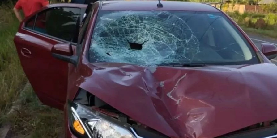 Pedestre morre atropelado na BR-010 - Imirante.com - AMP