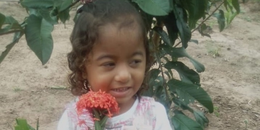 Isabela Andrade da Silva, de quatro anos, morreu na segunda-feira (10). (Divulgação)