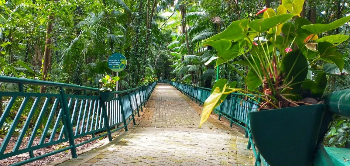 Parque Botânico da Vale. (Foto: Divulgação)