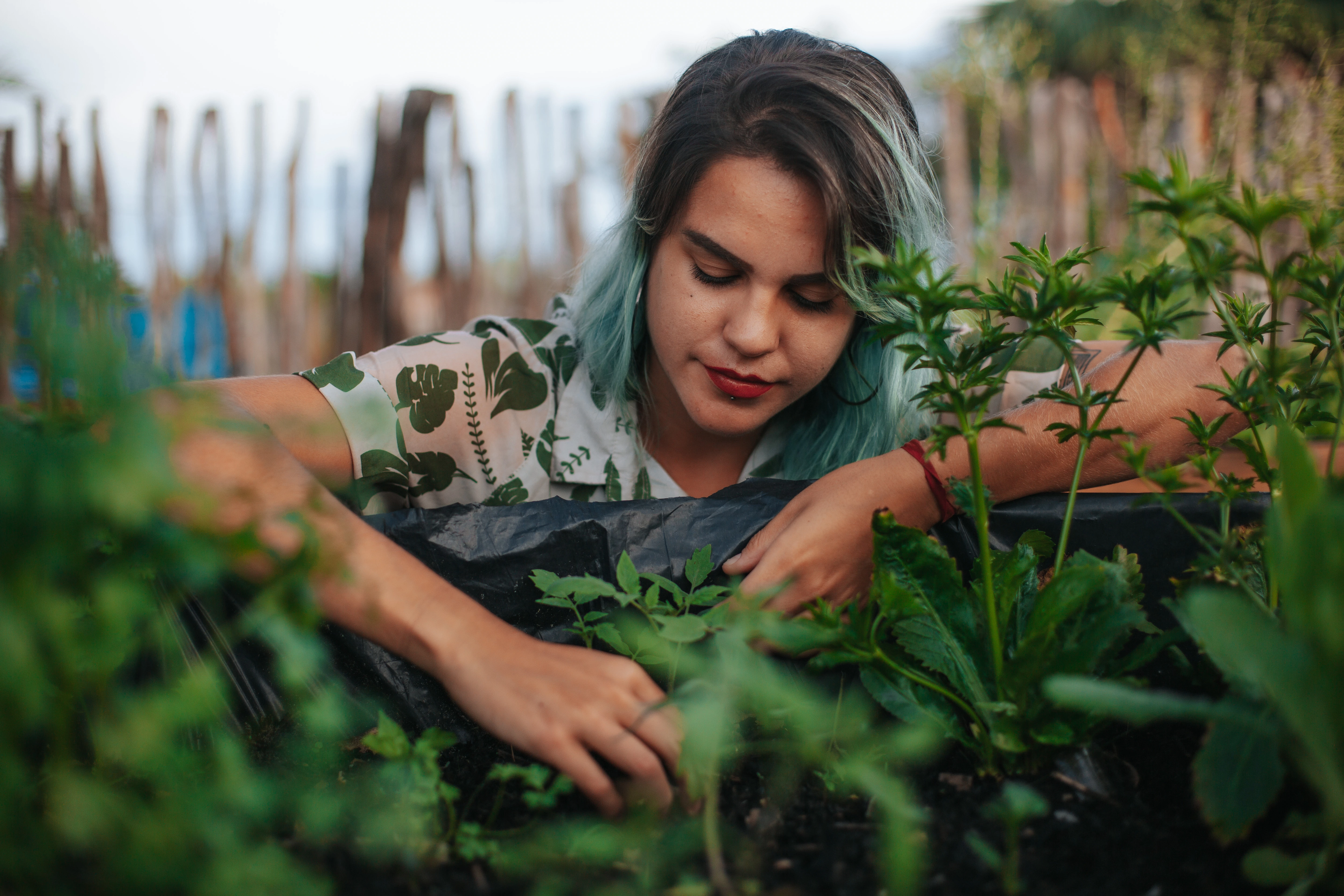 Estudos demonstram que a interação com a natureza está associada à redução dos níveis de ansiedade, estresse e fadiga mental. (Foto: Léo Castro)