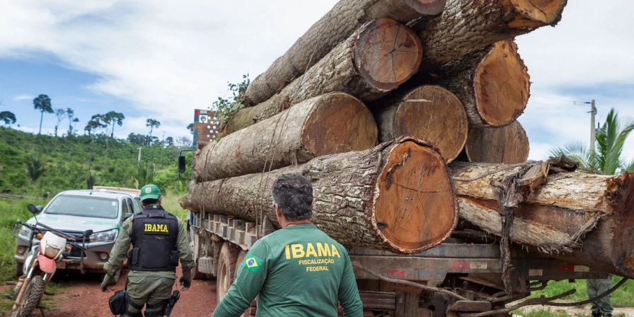 O grupo será composto por agentes ambientais federais e agentes de inteligência.