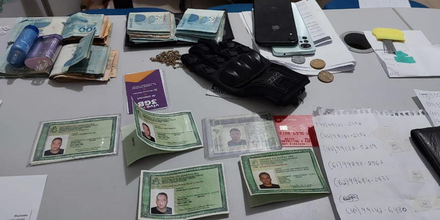Documentação falsificada apreendida pela polícia. (Foto: Divulgação/Polícia Civil)
