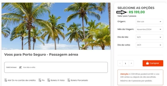 Voos para Porto Seguro. (Foto: Reprodução)