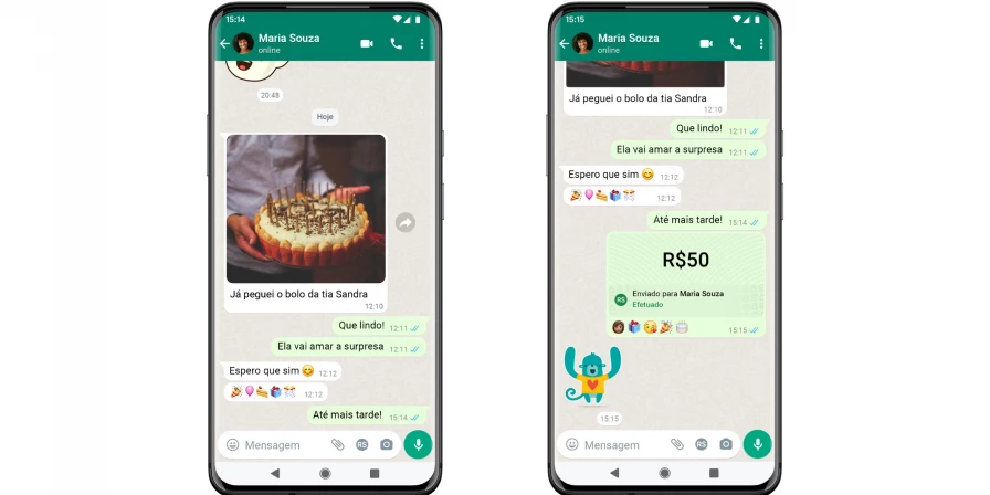 Compras pelo WhatsApp foram autorizadas pelo Banco Central.